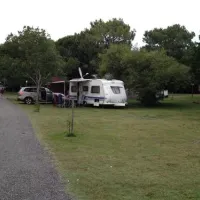 camping-coq-hardi-cassy-lanton-52voh