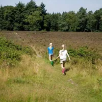 camping-bilderberg-oosterbeek-kzlxa