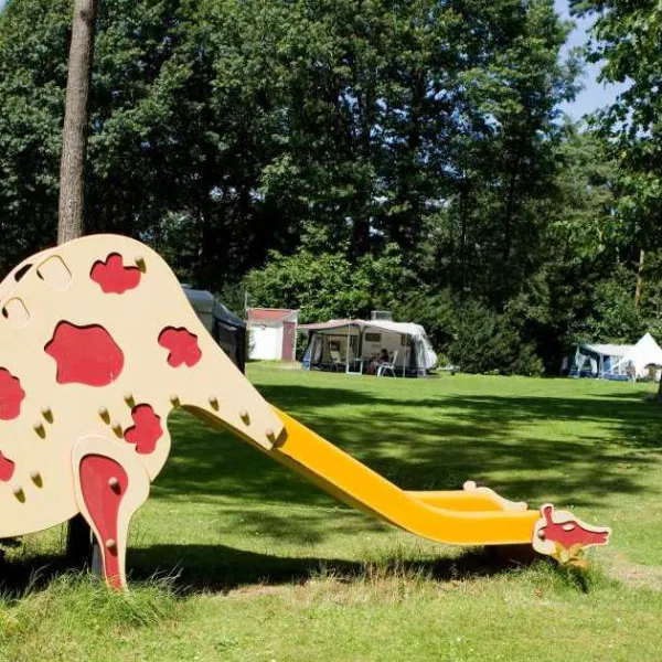 camping-bilderberg-oosterbeek-p4n65