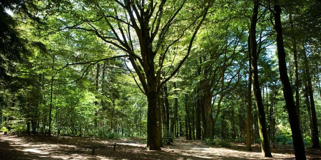 camping-bilderberg-oosterbeek-pmgjn