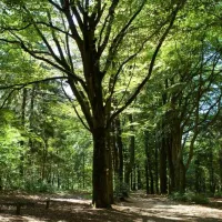 camping-bilderberg-oosterbeek-pmgjn