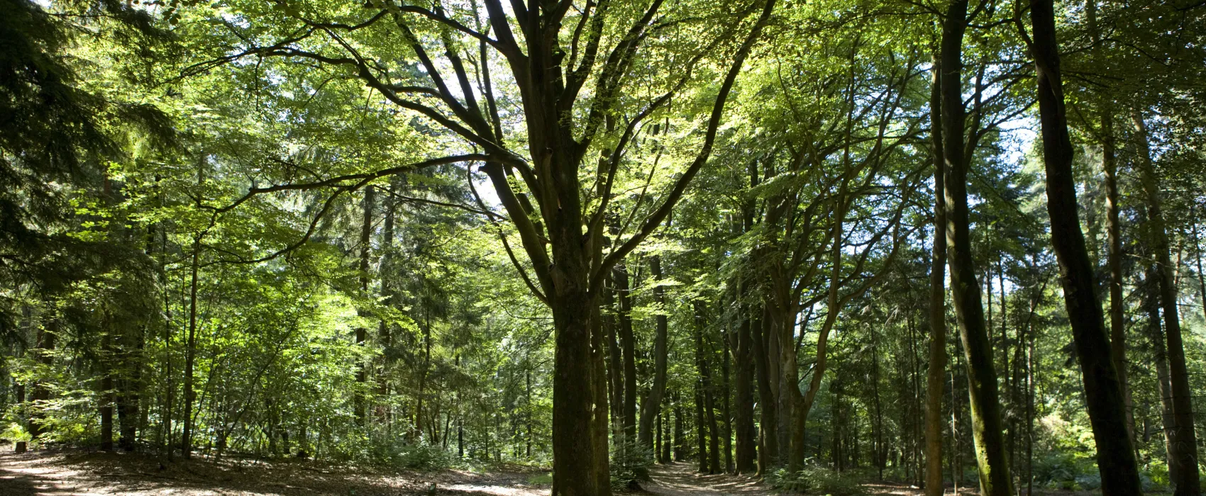 Camping Bilderberg
