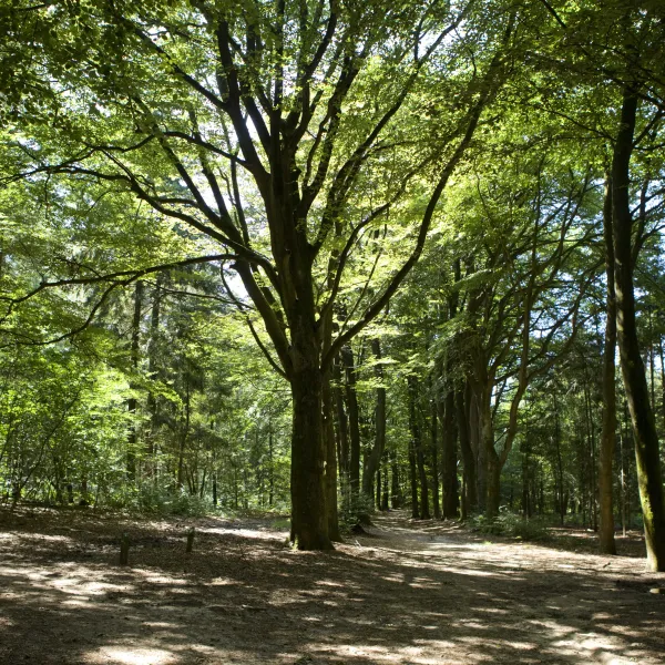Camping Bilderberg