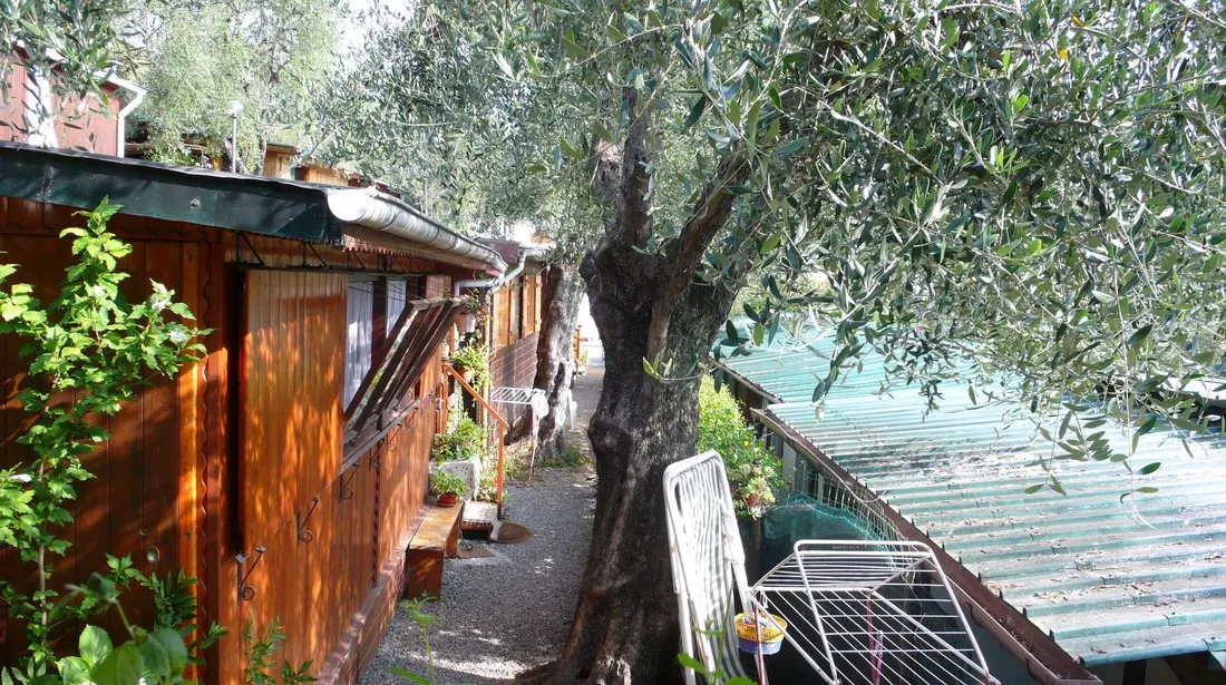 camping-il-frantoio-san-bartolomeo-al-mare-jxget
