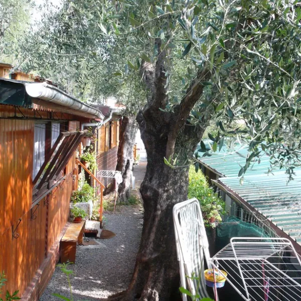 camping-il-frantoio-san-bartolomeo-al-mare-jxget
