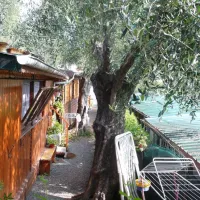 camping-il-frantoio-san-bartolomeo-al-mare-jxget