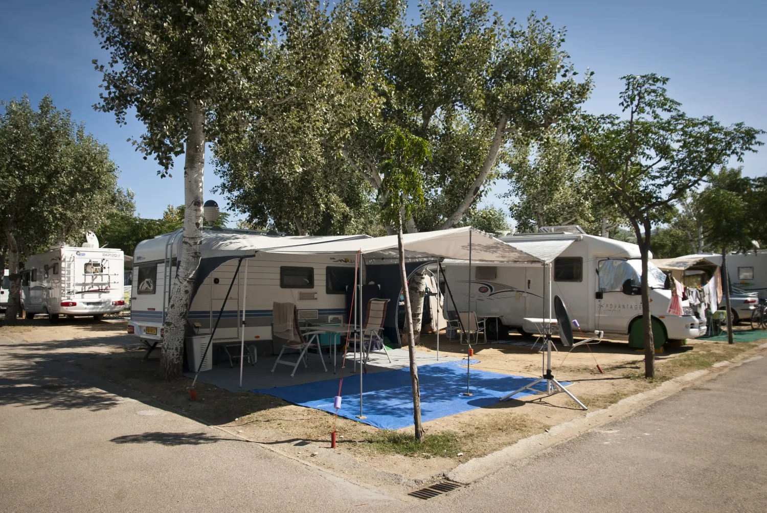 camping-joncar-mar-roses-fluox