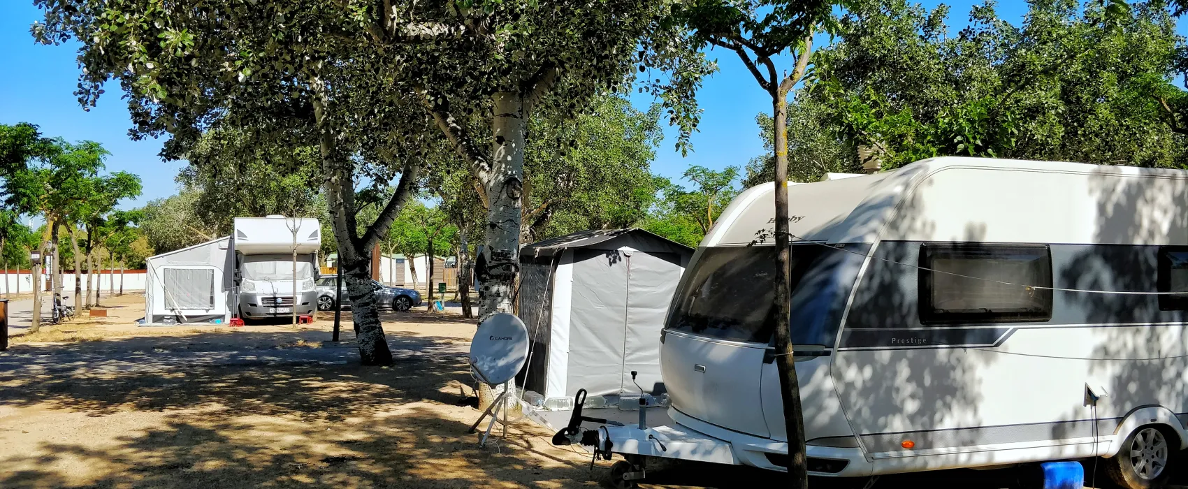 Camping Joncar Mar