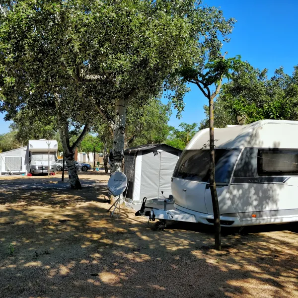 Camping Joncar Mar