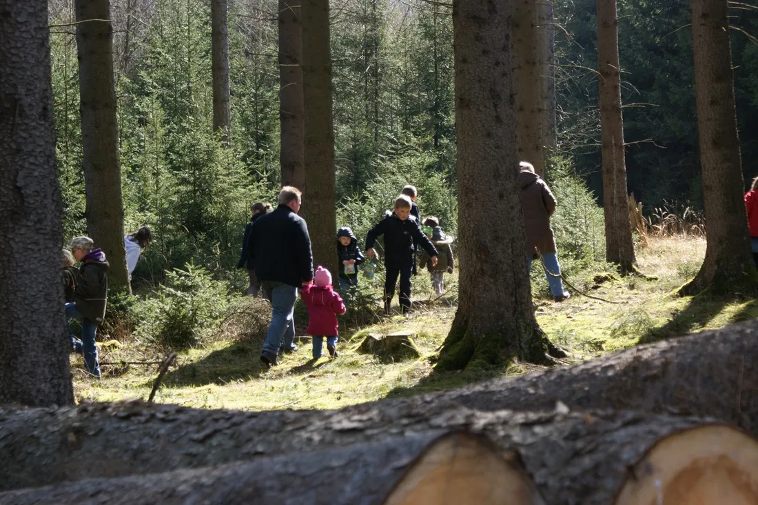 camping-wannetal-warsteinniederbergheim-g7q7x