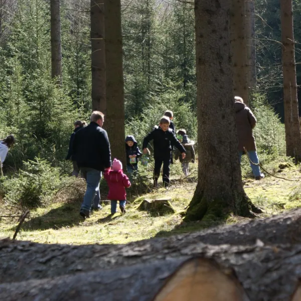 camping-wannetal-warsteinniederbergheim-g7q7x
