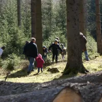 camping-wannetal-warsteinniederbergheim-g7q7x
