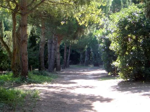 camping-le-sainte-marie-sainte-marie-la-mer-pyrnes-orientales-v99kt