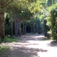 camping-le-sainte-marie-sainte-marie-la-mer-pyrnes-orientales-v99kt