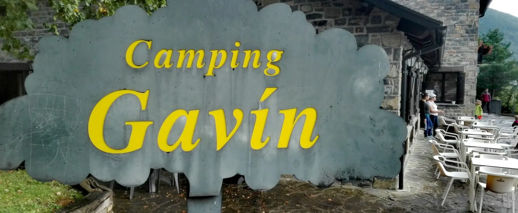 Gavin
