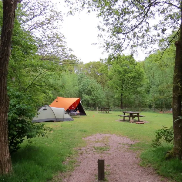 natuurkampeerterrein-drie-ermelo-ec7oh