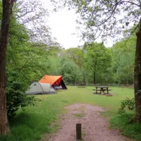 natuurkampeerterrein-drie-ermelo-ec7oh