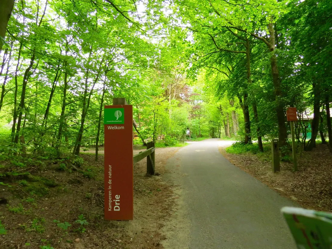 natuurkampeerterrein-drie-ermelo-t17bl