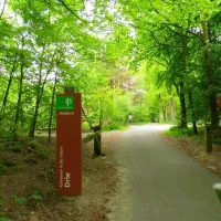 natuurkampeerterrein-drie-ermelo-t17bl