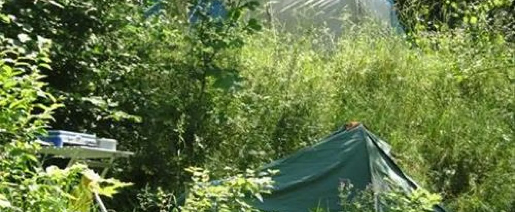Naturcamping Vulkaneifel