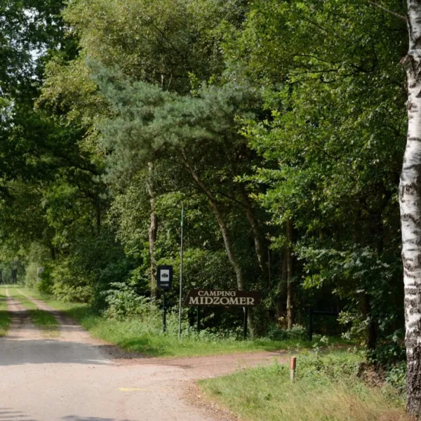 camping-camping-midzomer-diever-jilqm