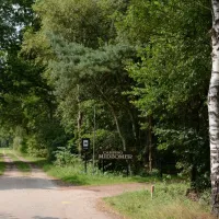camping-camping-midzomer-diever-jilqm