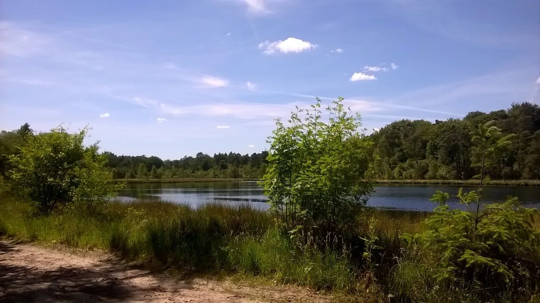 camping-camping-midzomer-diever-jzhfj
