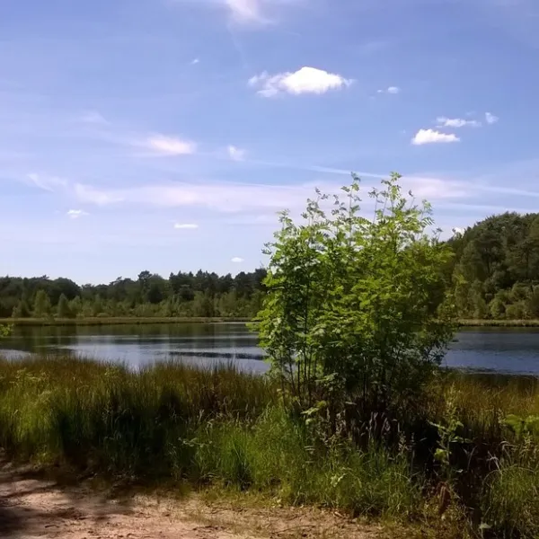 camping-camping-midzomer-diever-jzhfj