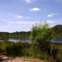camping-camping-midzomer-diever-jzhfj