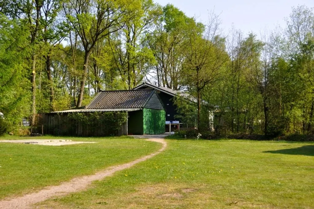 camping-camping-midzomer-diever-vxcgf