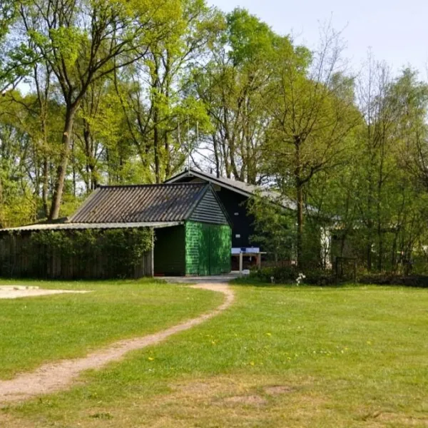 camping-camping-midzomer-diever-vxcgf