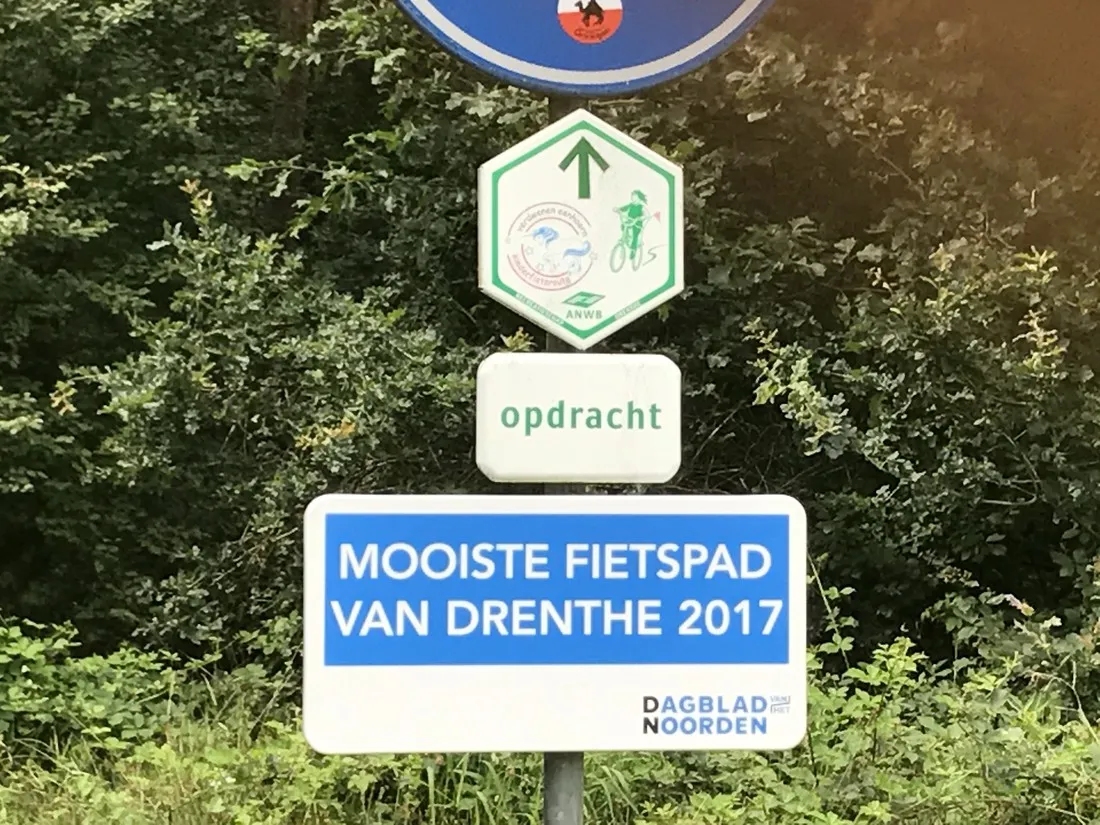 camping-camping-midzomer-diever-wpvl8