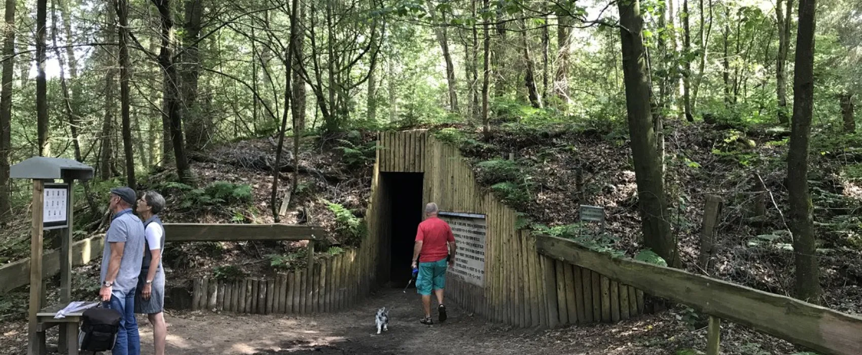 Camping Camping Midzomer