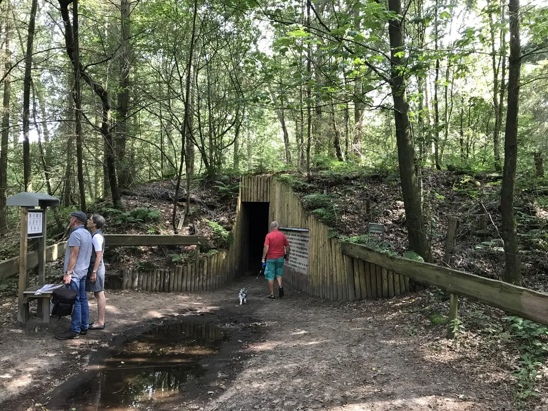 camping-camping-midzomer-diever-ycipr
