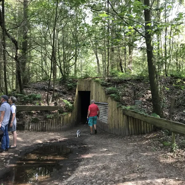 camping-camping-midzomer-diever-ycipr