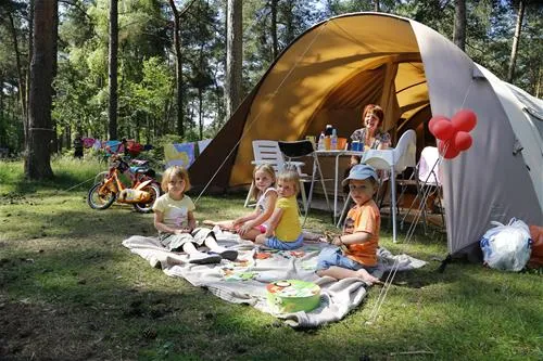 camping-de-lilse-bergen-lille-7ip7h