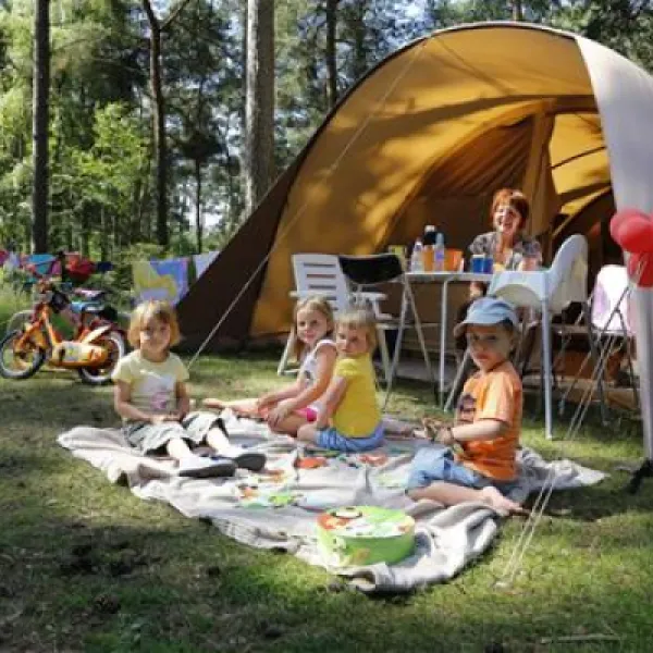 camping-de-lilse-bergen-lille-7ip7h