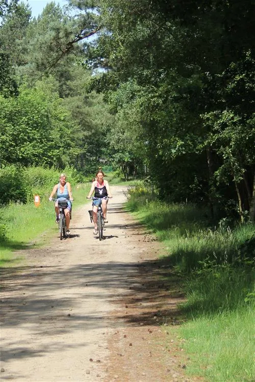 camping-de-lilse-bergen-lille-jloc1