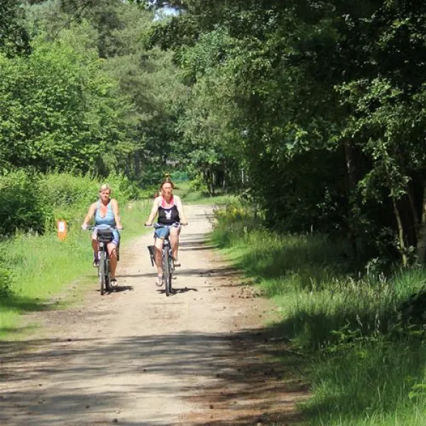 camping-de-lilse-bergen-lille-jloc1