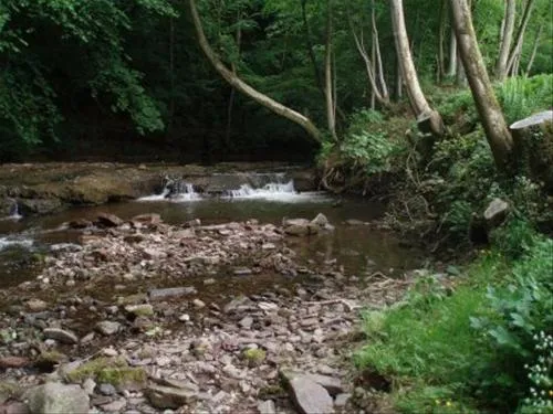 camping-priory-mill-farm-brecon-6meob