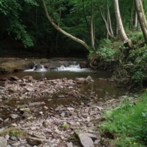 camping-priory-mill-farm-brecon-6meob