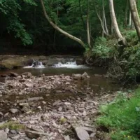 camping-priory-mill-farm-brecon-6meob
