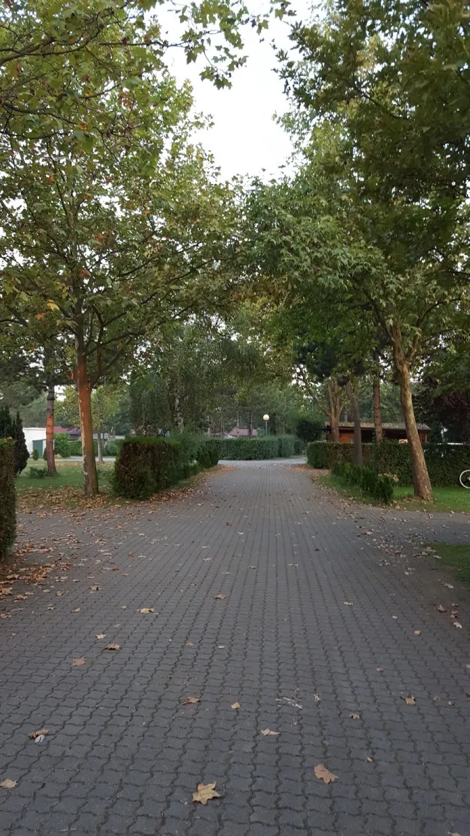 camping-paula-frauenkirchen-o21a4