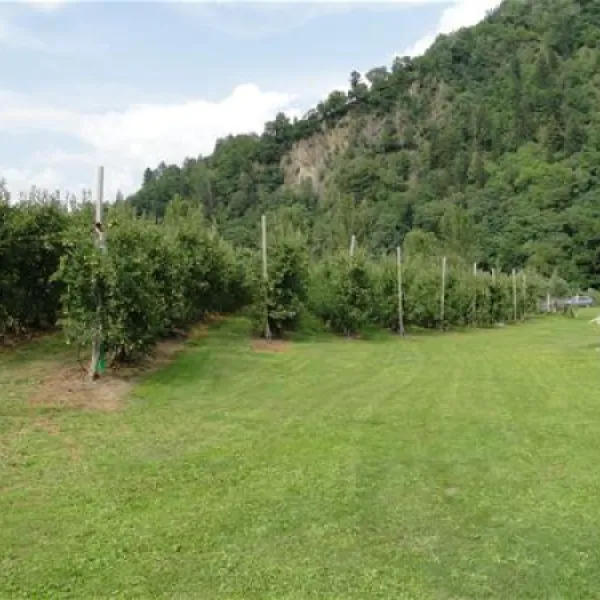 camping-passeier-meran-saltaus--st-martin-inkvz