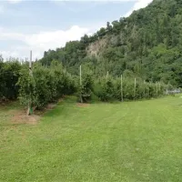 camping-passeier-meran-saltaus--st-martin-inkvz