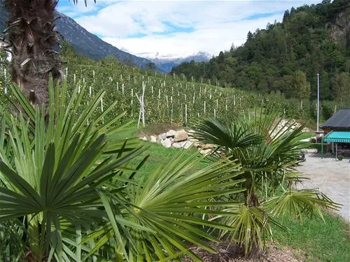 camping-passeier-meran-saltaus--st-martin-qi7yv