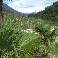 camping-passeier-meran-saltaus--st-martin-qi7yv