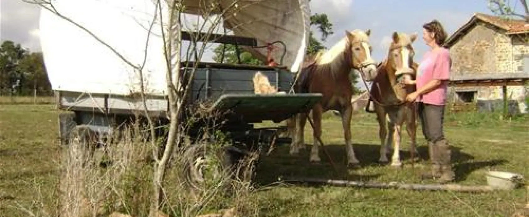 Camping Le Douvet