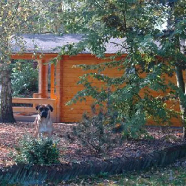 kampeertuin-de-kikkerberg-oldambt-jm4zr
