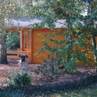 kampeertuin-de-kikkerberg-oldambt-jm4zr